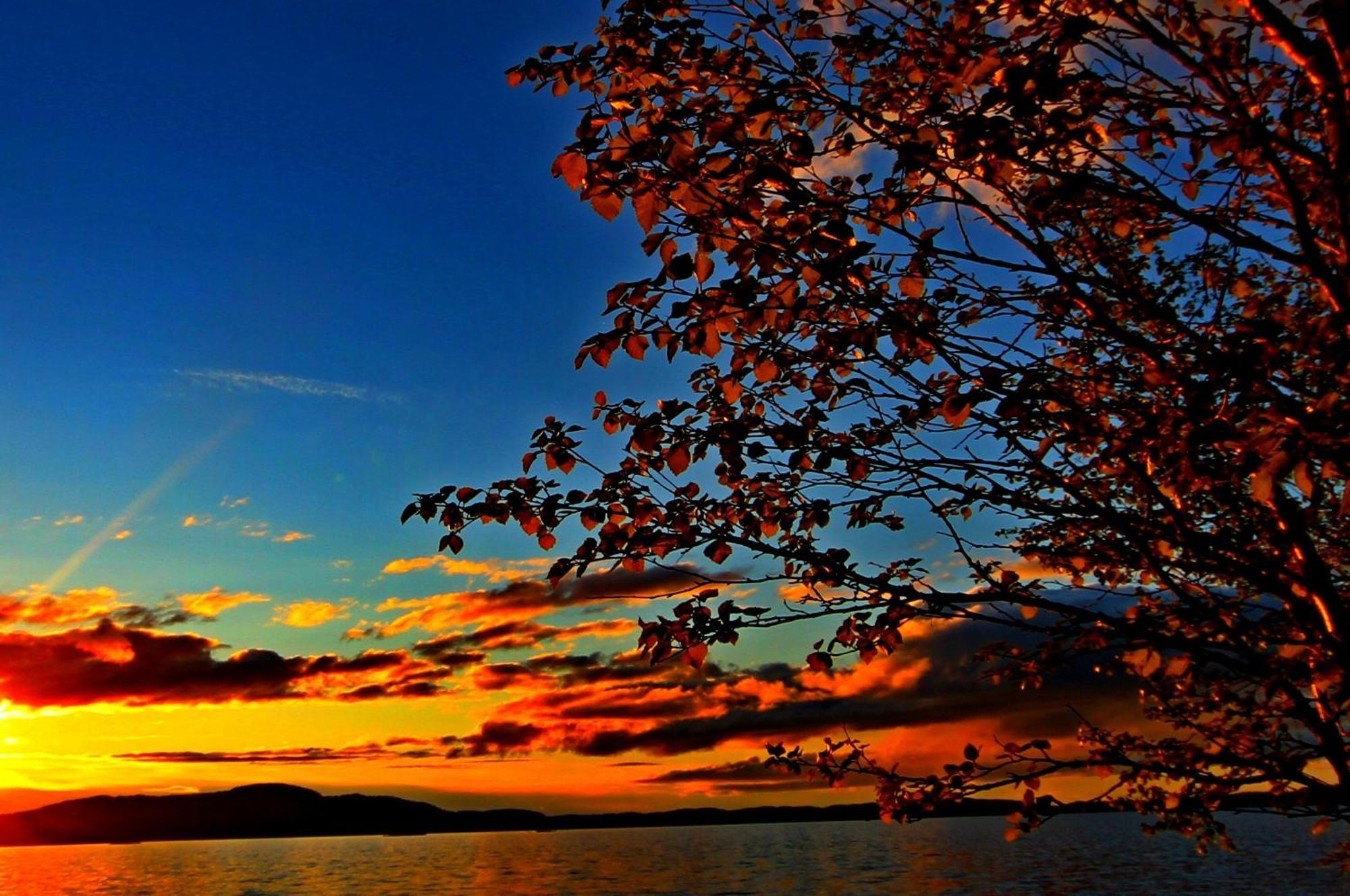 Ukonjaerven Village Resort Ivalo