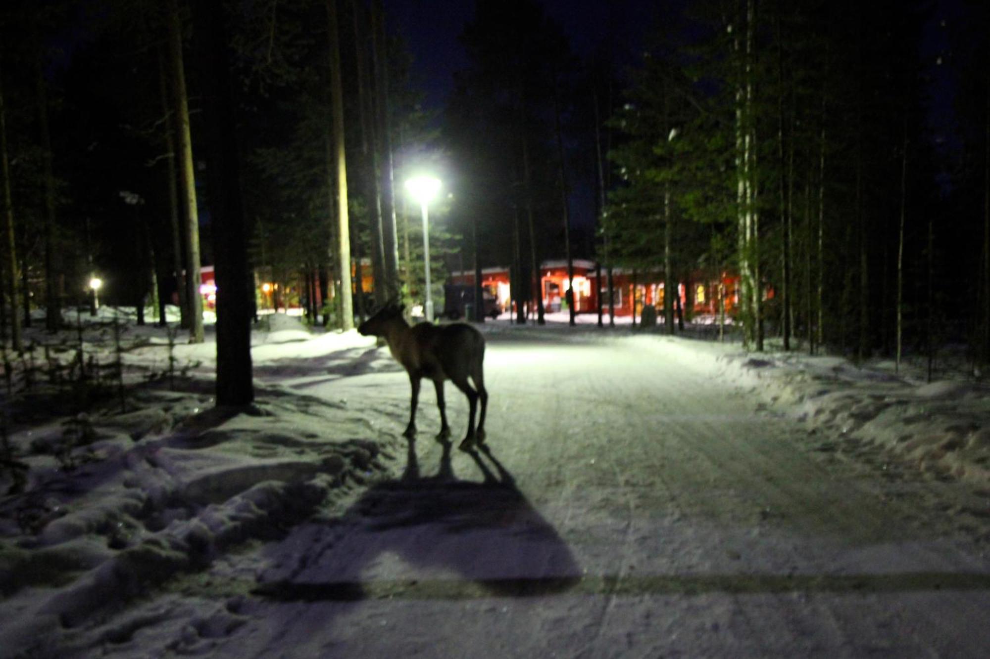 Resort Ukonjaerven Village 3*