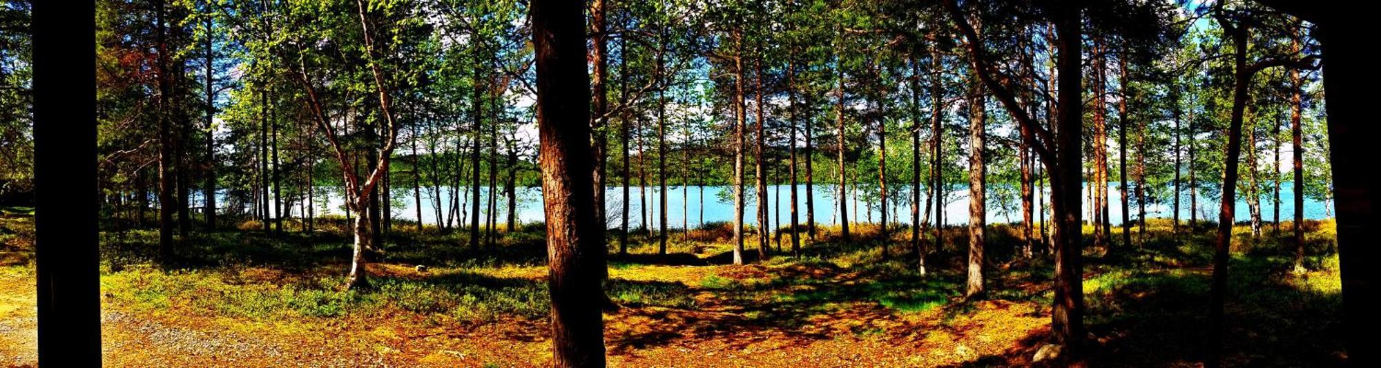 Resort Ukonjaerven Village 3*
