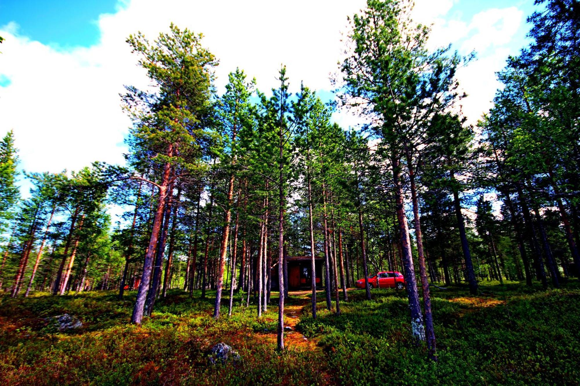 Ukonjaerven Village Ivalo